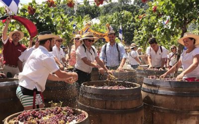 Las fiestas de la Vendimia: Un vino, un fin de semana, un año de ventas